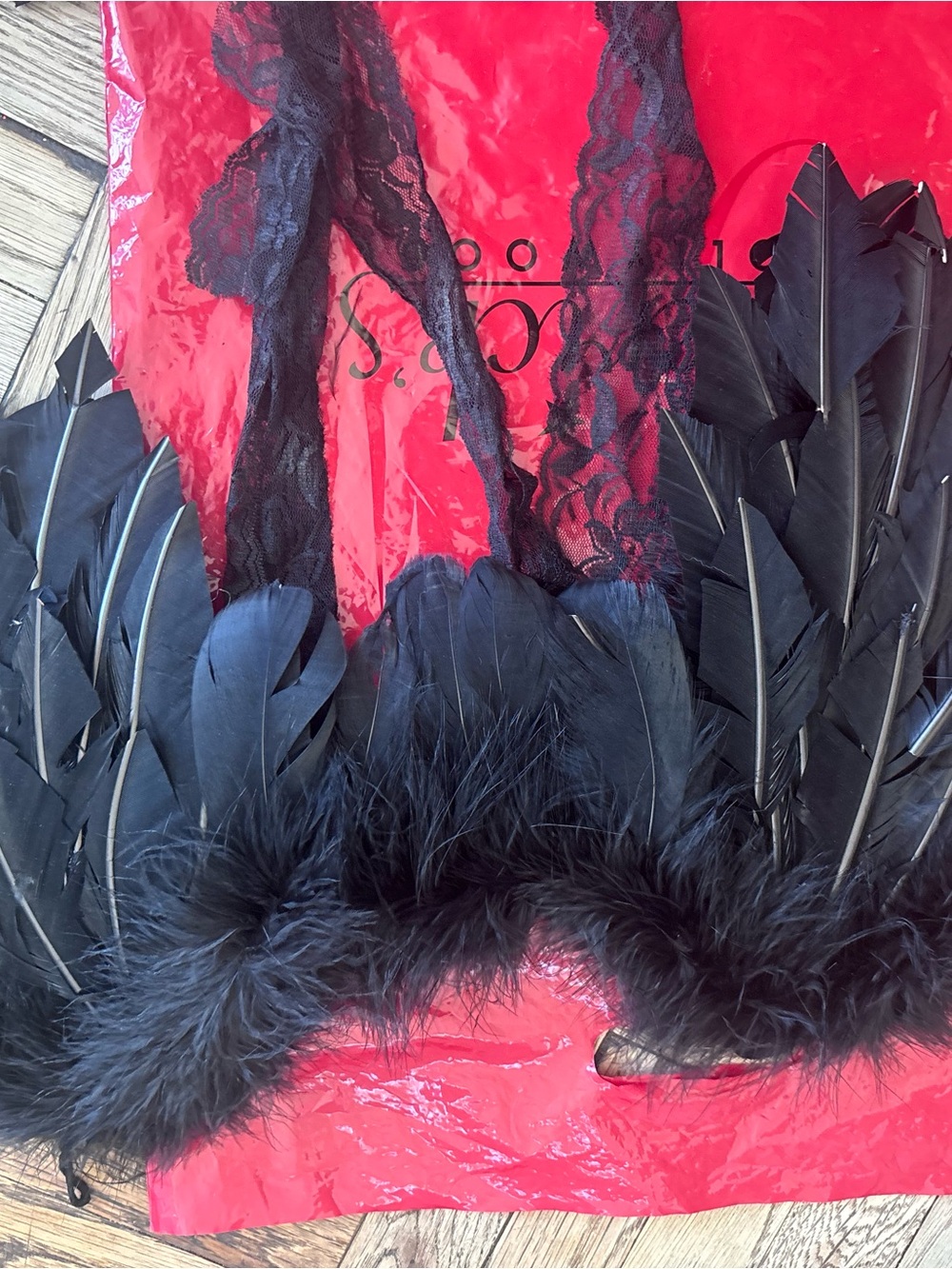 Black Feathered Costume Accessory - Lace and Feather Trim
